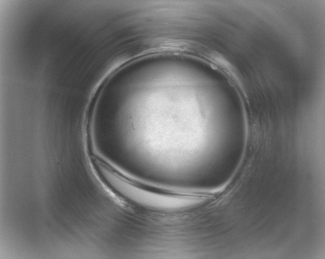 X0000069401235200605121207