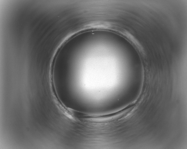 X0000069401240200605121207