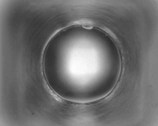 X0000069401248200605121207