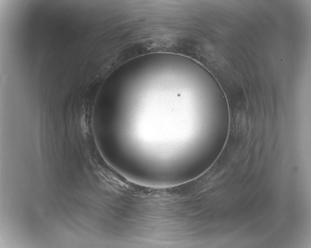 X0000069401250200605121206