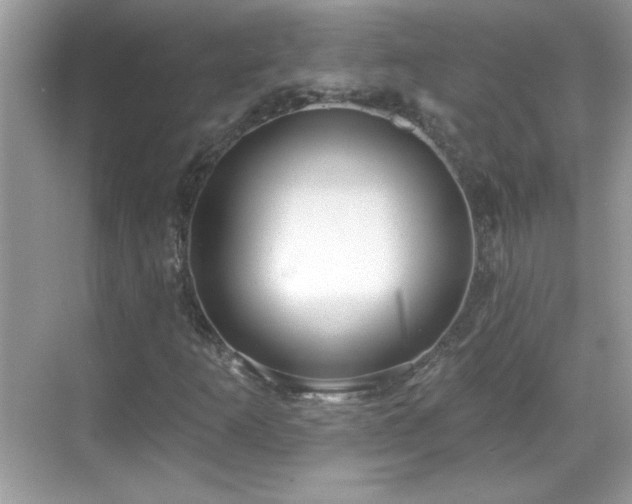 X0000069401253200605121206