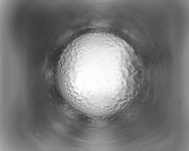 X0000069401254200605121206