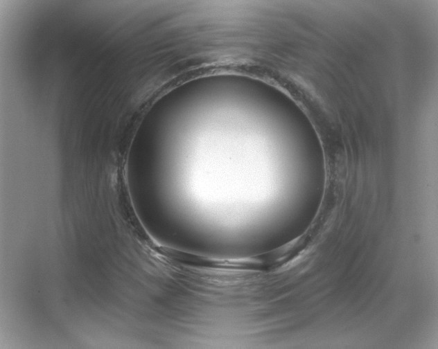 X0000069401257200605121206