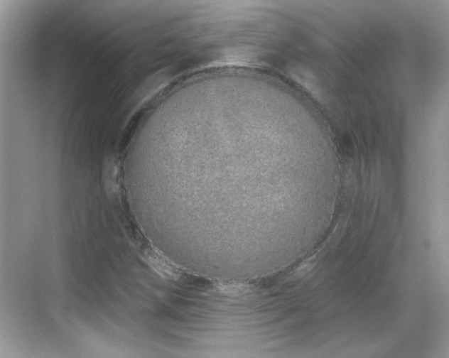 X0000069401258200605121206