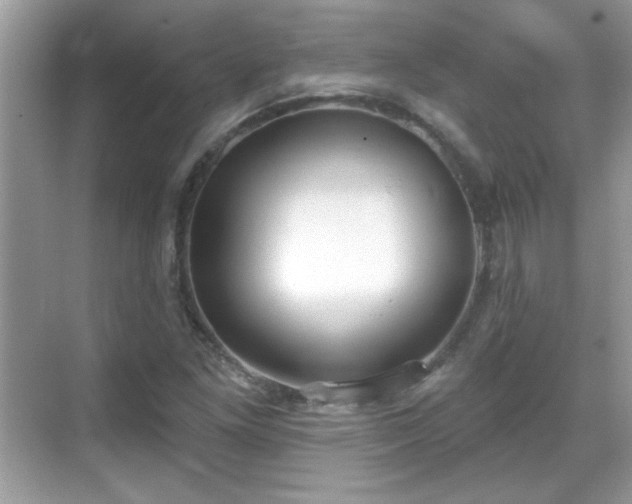 X0000069401261200605121206