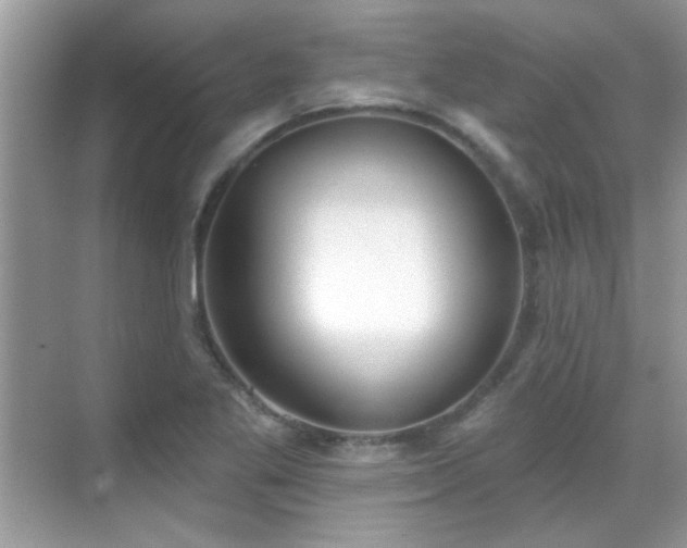X0000069401269200605121206