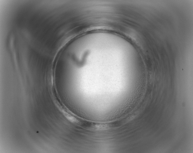 X0000069401274200605121206
