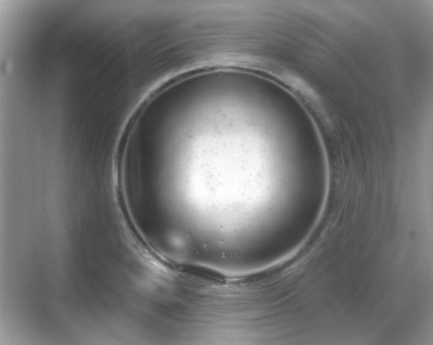 X0000069401280200605121206