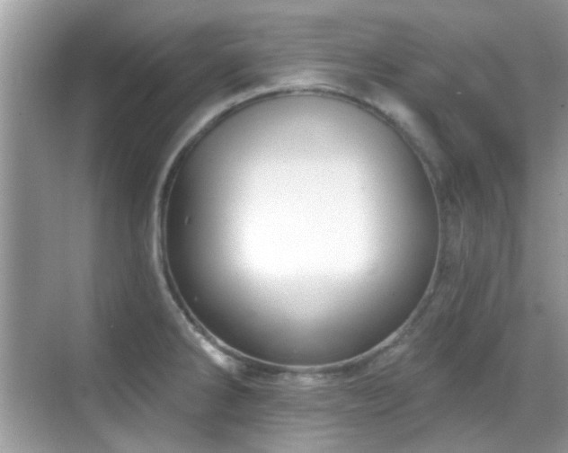 X0000069401286200605121206