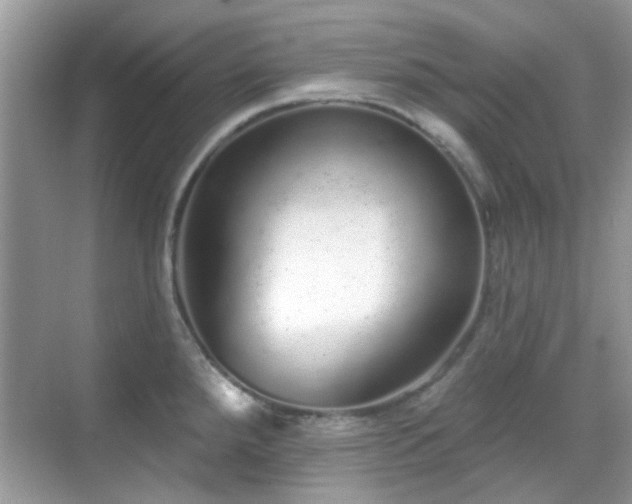 X0000069401288200605121206