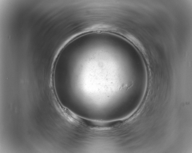 X0000069401296200605121205
