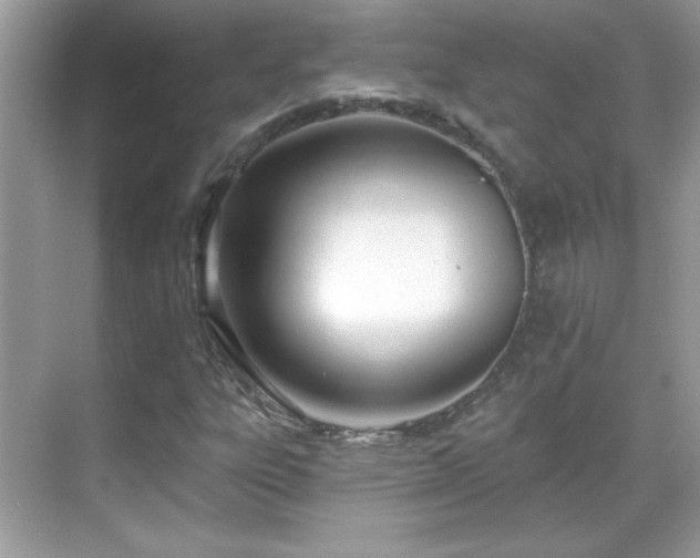 X0000069401303200605121205