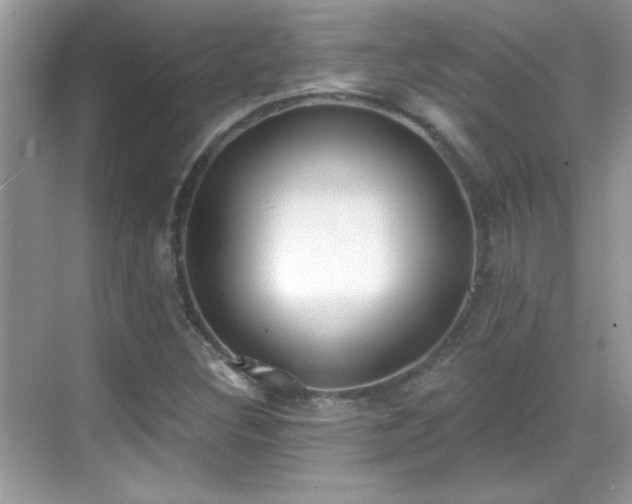 X0000069401308200605121205
