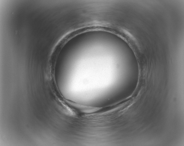 X0000069401310200605121205
