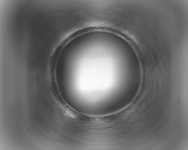 X0000069401311200605121205