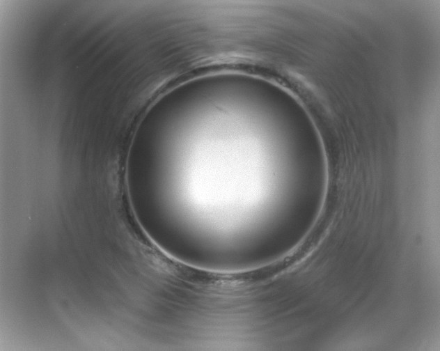 X0000069401313200605121205