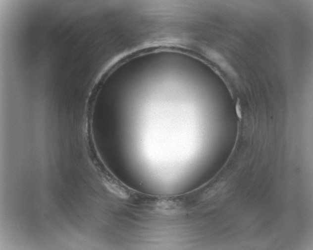 X0000069401316200605121205
