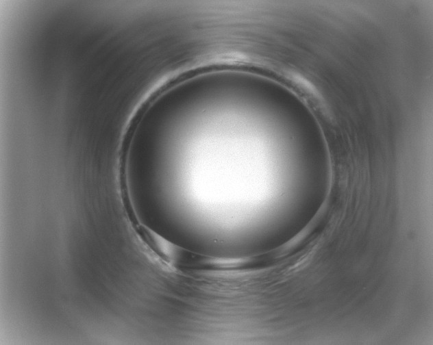 X0000069401326200605121205