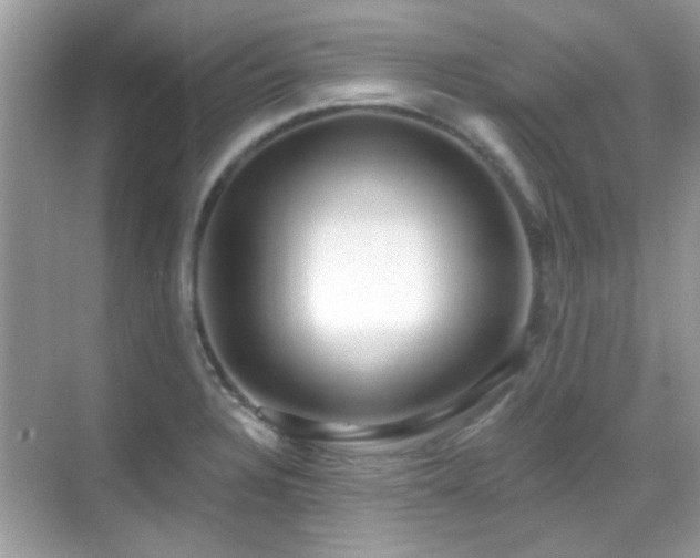 X0000069401328200605121205