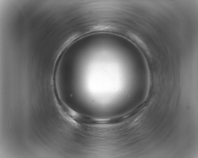 X0000069401330200605121205