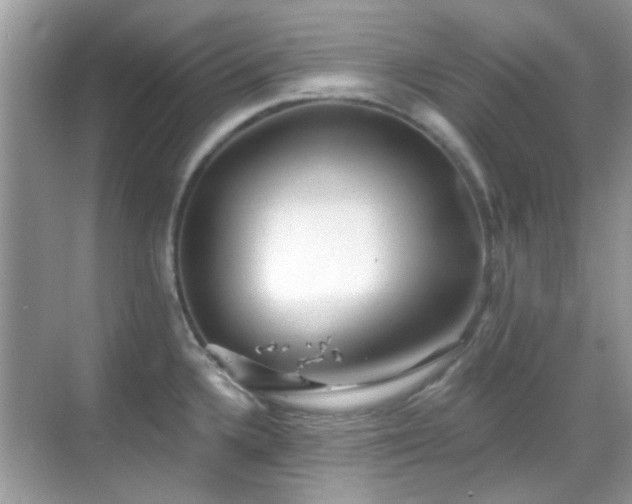 X0000069401336200605121205