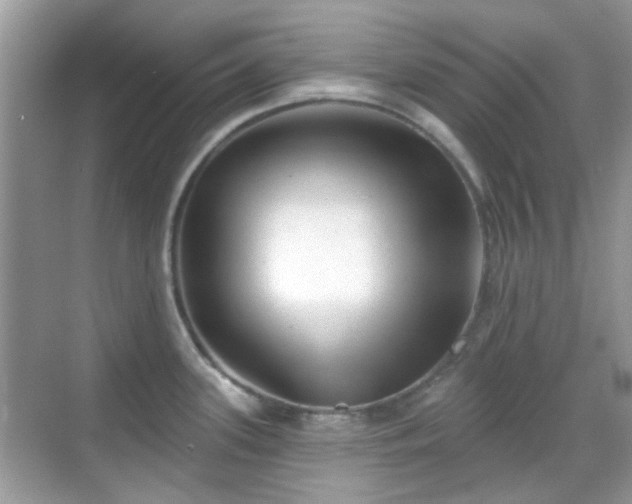 X0000069401339200605121205