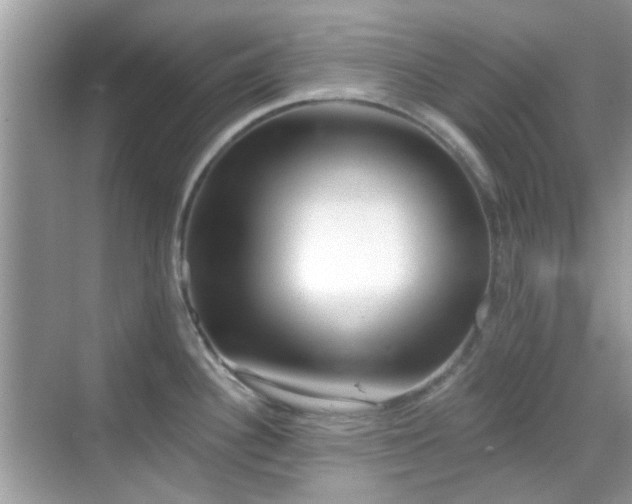 X0000069401340200605121205