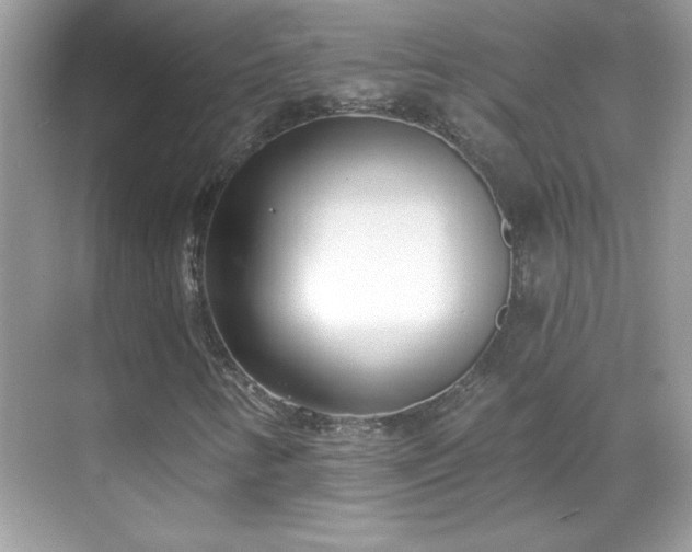 X0000069401346200605121205