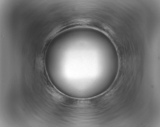 X0000069401354200605121204