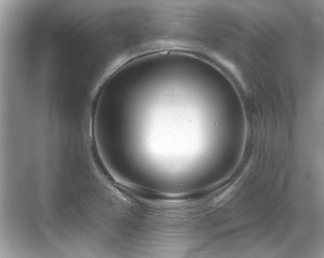 X0000069401365200605121204