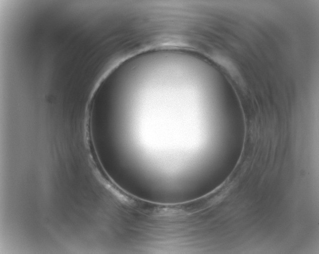 X0000069401374200605121204