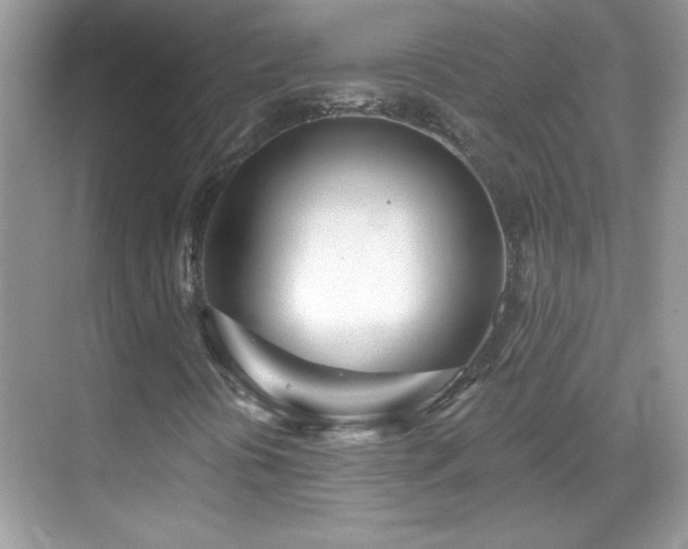 X0000069401394200605121203