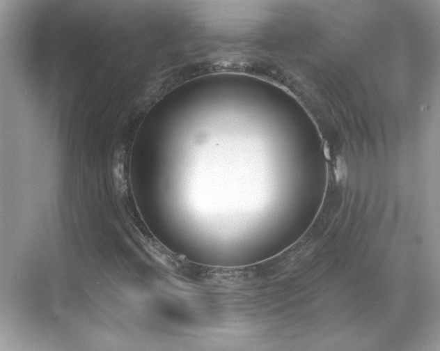 X0000069401396200605121203