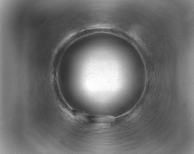 X0000069401406200605121203