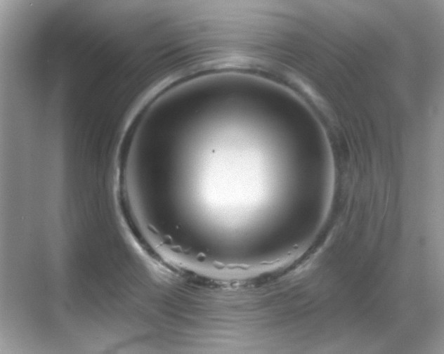 X0000069401418200605121203