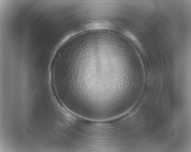 X0000069401419200605121203