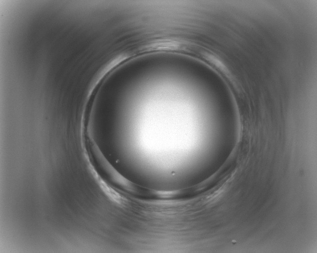 X0000069401426200605121204