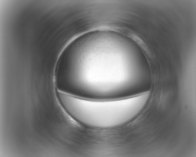X0000069401428200605121204