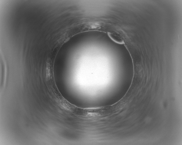 X0000069401442200605121203