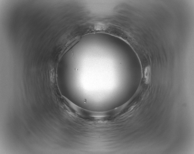 X0000069401443200605121203