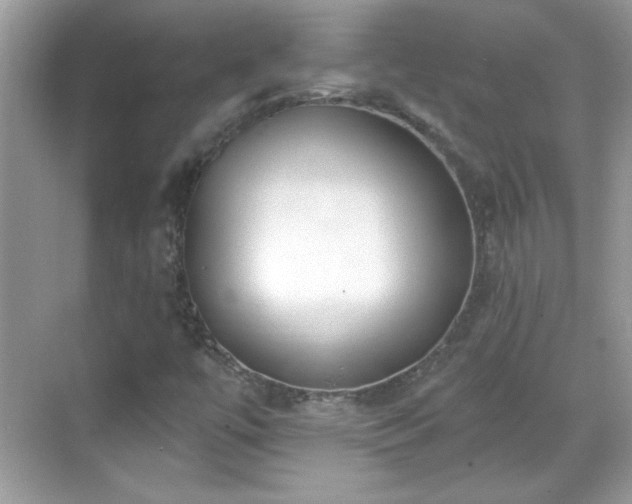 X0000069401447200605121203