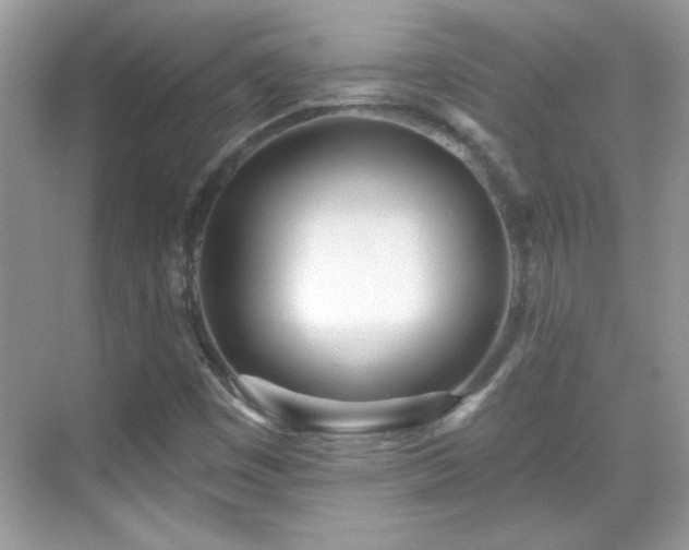 X0000069401449200605121203