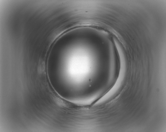 X0000069401465200605121203