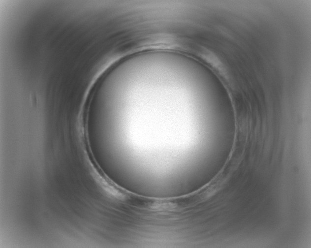 X0000069401466200605121203