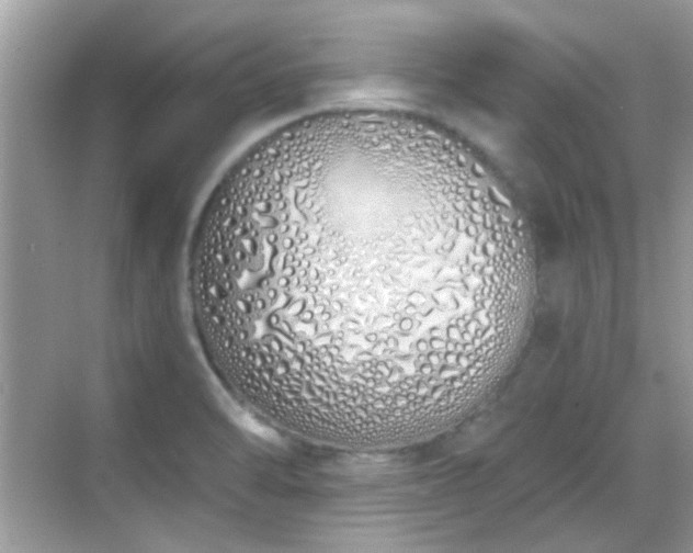 X0000069401470200605121202