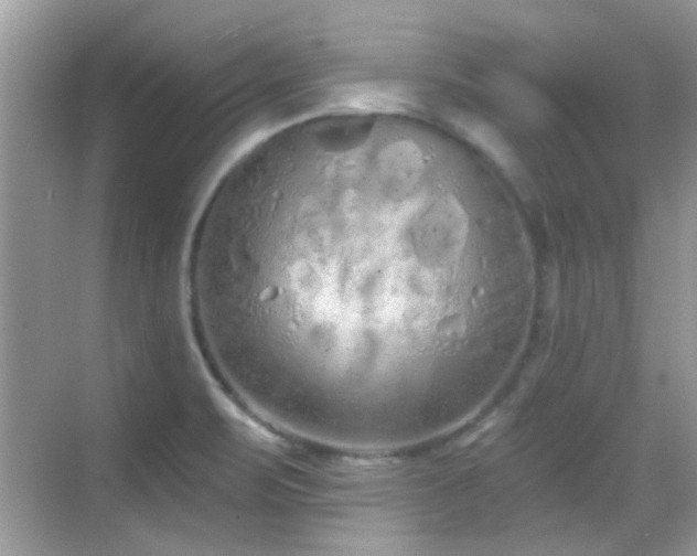 X0000069401471200605121202