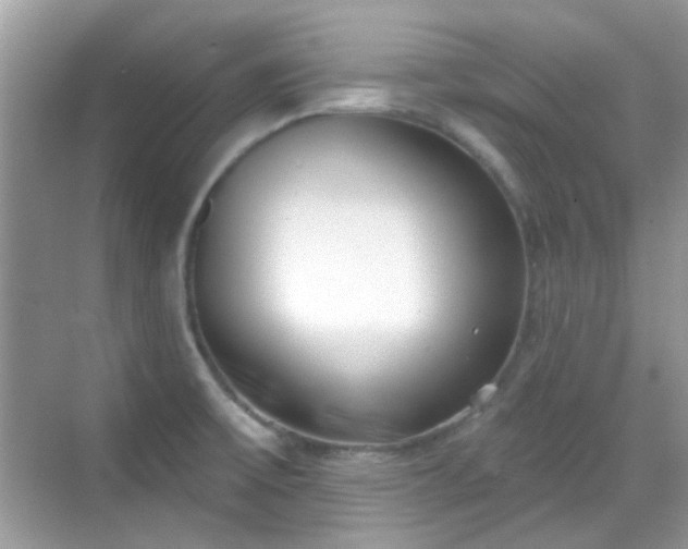 X0000069401475200605121202