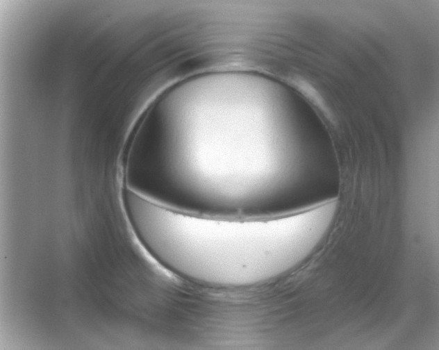 X0000069401476200605121202