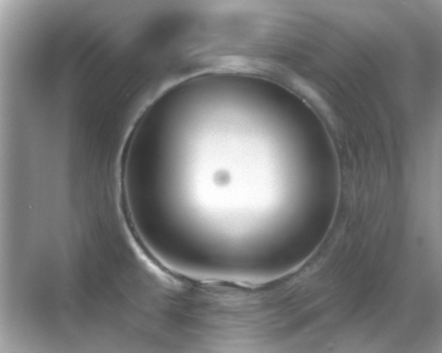 X0000069401479200605121202