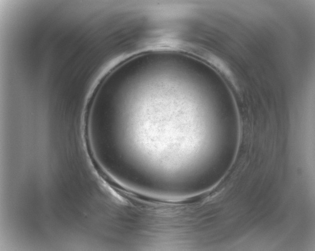 X0000069401480200605121202